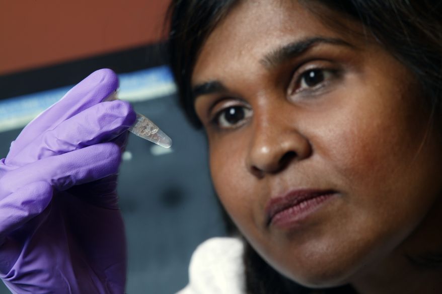 **FILE ** Dr. Deborah Persaud, a pediatric HIV expert at Johns Hopkins' Children's Center in Baltimore, holds a vial while at Johns Hopkins Medicine in 2005. (AP Photo/Johns Hopkins Medicine, File)