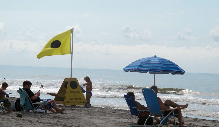 Vacationers enjoy the shore at Folly Beach, S.C., on July 1, 2014.  (AP Photo/Bruce Smith) **FILE**