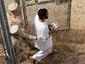 6_gitmo_3956_20081118_mugshot_four_by_three.jpg