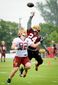 REDSKINS_20140724_051.JPG