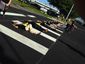crosswalk_mugshot_four_by_three.jpg