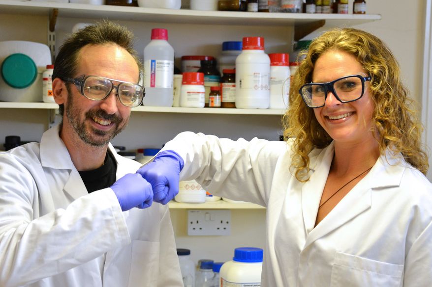 In this undated photo provided by Prifysgol Aberystwyth University, researchers David Whitworth, left, and Sara Mela, pose for photo in the lab at Prifysgol Aberystwyth University in Aberystwyth, Wales. According to results published online Monday, July 28, 2014, in the American Journal of Infection Control, the researchers found that the knocking of knuckles, fist bump, spreads only one-twentieth the amount of bacteria that a handshake does. (AP Photo/Prifysgol Aberystwyth University)