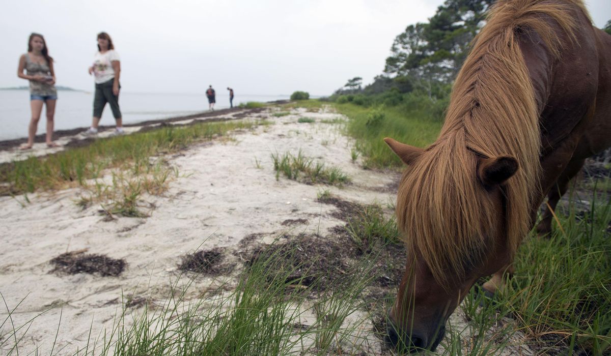 NextImg:Officials ban swimming after medical waste washes ashore in Maryland, Virginia and Delaware