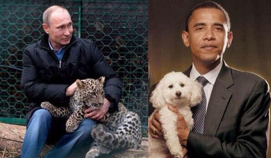 A tweet allegedly from the Russian deputy prime minister shows conflicting images of Vladimir Putin and PResident Obama.