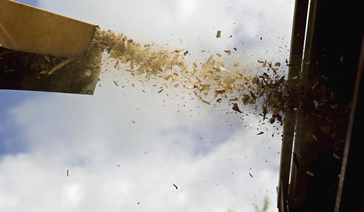 NextImg:Pennsylvania company fined for letting teen use woodchipper in deadly accident