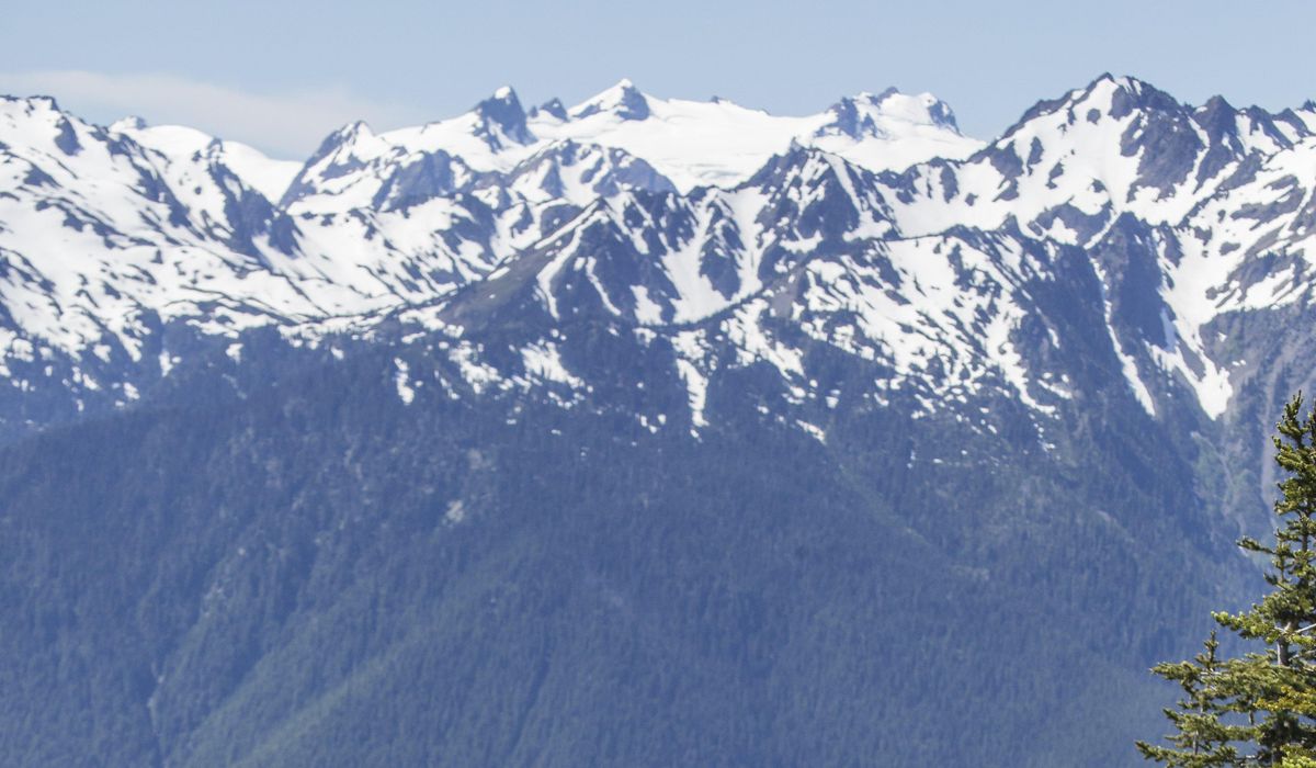 NextImg:Naval search team rescues hiker who fell 1,200 feet in ravine in Washington