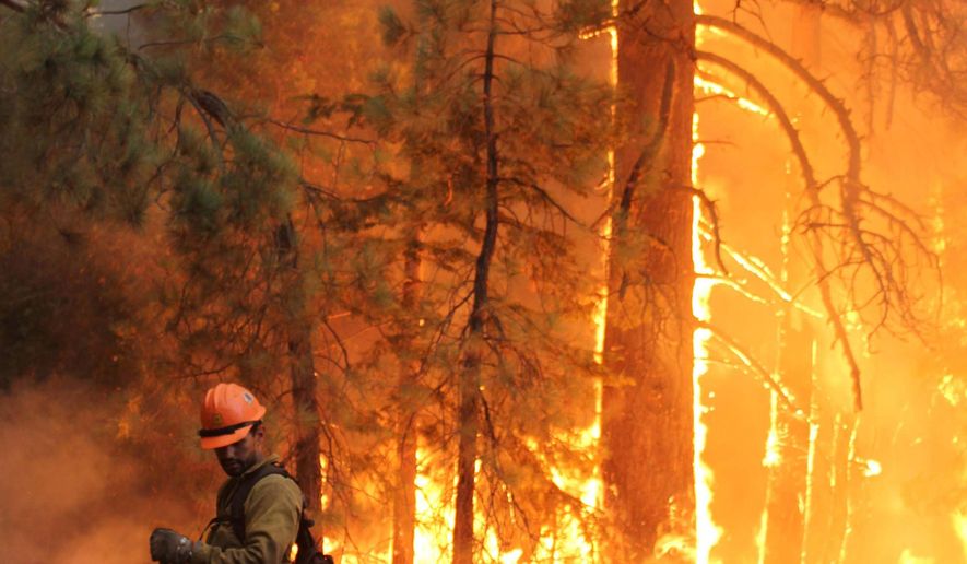 In thisMonday, Sept. 2, 2013 file photo provided by the U.S. Forest Service, firefighters stand watch near a controlled burn as they fight the Rim Fire near Yosemite National Park, Calif. The Northern California man charged with starting the largest wildfire in recorded history to sweep through the Sierra Nevada mountains has turned himself in to authorities. The U.S. Attorney's Office in Sacramento said Tuesday, Aug. 12, 2014, that Keith Matthew Emerald surrendered to U.S Marshals Service in Fresno. The 32-year-old is scheduled to appear in the afternoon in federal court for arraignment on a four-count indictment. (AP Photo/U.S. Forest Service, Mike McMillan)