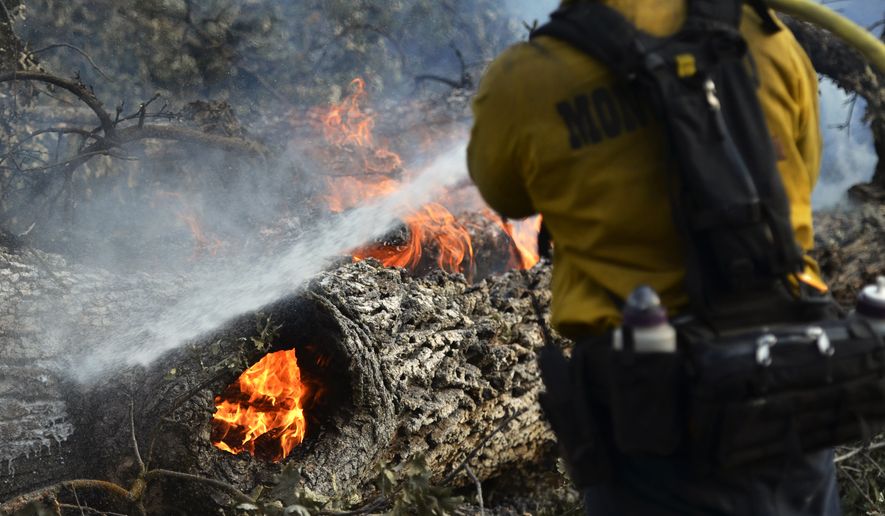 Firefighters extinguish a fire burning in a downed tree on the approach to Taylor Mountain a day after the Junction fire swept across Highway 41 in Oakhurst, Calif. on Tuesday, Aug. 19, 2014. (AP Photo/The Fresno Bee, Eric Paul Zamora)