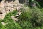 Bao Bao_8_21-11.jpg