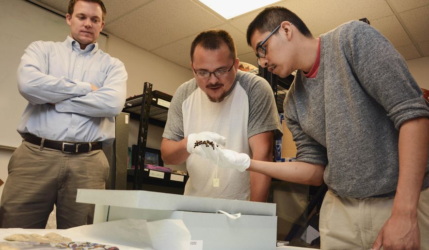In this June 5, 2014 photo provided by the South Dakota School of Mines &amp;amp; Technology, assistant professor Grant Crawford, left, looks on as Mines students Jeremiah Richards, center, and Domingo Tamayo examine a Native American artifact at The Heritage Center on the Pine Ridge Reservation in South Dakota. Researchers at the school are using 3-D imaging and other modern tools to reveal the history of Lakota artifacts and test how to ensure the pieces’ authenticity through the use of invisible marks. (AP Photo/Courtesy of the South Dakota School of Mines &amp;amp; Technology, Amy Hodge)