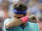 2014 US Open Tennis_Lanc(18).jpg