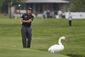 BMW Championship Golf_Lanc.jpg