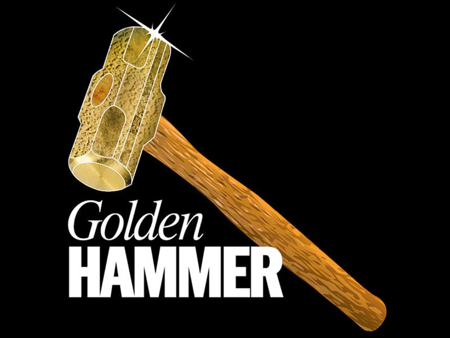 The most egregious examples of government waste, fraud or abuse from TWT staff. (Golden Hammer cropped logo)