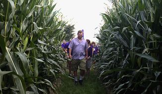 In this Aug. 28, 2014 photo, Steve Buxton walks with others in the corn growing in a maze on Buxton&#x27;s Garden Farm &amp;amp; Flower Shop in Sullivan, Ill. Buxton worked on the design and layout of the four-acre Ribbon of Hope Corn Maize since earlier this summer. (AP Photo/Herald &amp;amp; Review, Lisa Morrison)