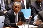 UN Security Council Obama.JPEG-039be.jpg