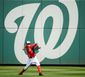 NATS_007.JPG