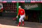 NATS_013.JPG