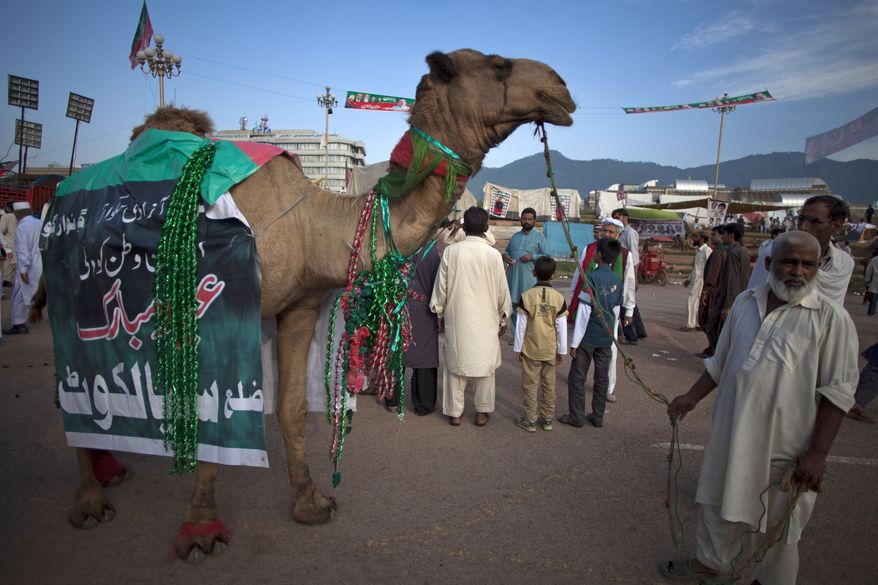 A man parades a camel with a banner that reads, &quot;go Nawaz go,&quot; outside a parliament building where anti-government protesters are gathered, on Eid al-Adha, or &quot;Feast of Sacrifice,&quot; in Islamabad, Pakistan, Monday, Oct. 6, 2014.  On the start of Eid holiday, Muslims slaughter sheep, cattle and other livestock, and give part of the meat to the poor. The holiday began Monday in Pakistan. (AP Photo/B.K. Bangash) ** FILE ** 