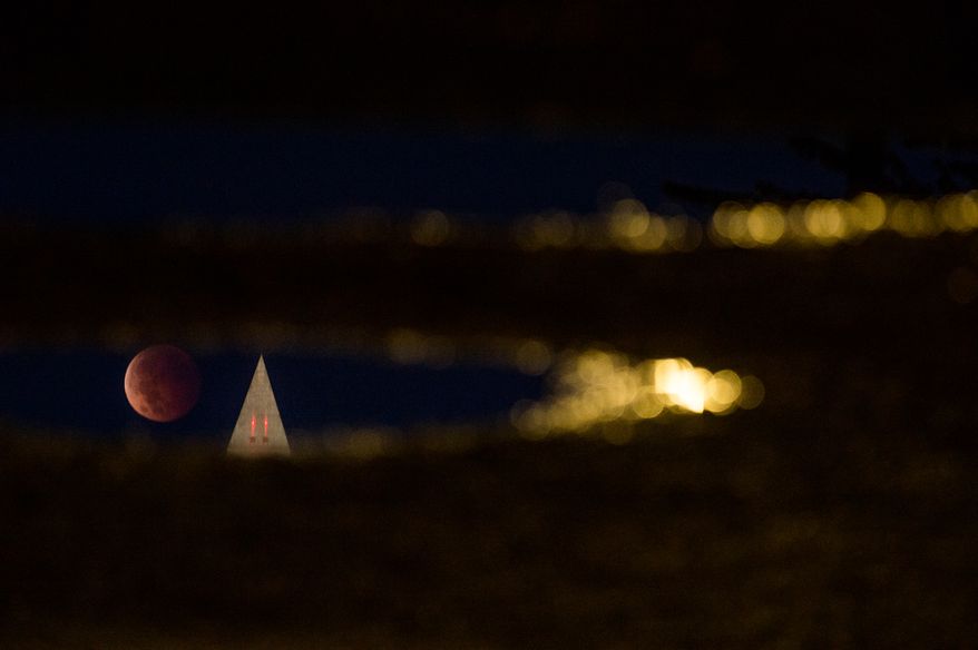 A "blood moon" or lunar eclipse can be seen above the Washington Monument reflected in a puddle just before dawn on the National Mall, Washington, D.C., Wednesday, October 8, 2014. The lunar eclipse is the second and last of 2014. (Andrew Harnik/The Washington Times)