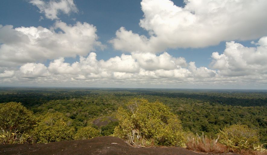 Aerial view from Voltzberg, in the heart of the Central Suriname Nature Reserve. Suriname’s goal is to use extra revenues from oil and minerals to develop more sustainable industries in the long-term: agriculture, forestry, fisheries, tourism and eco-services. (Photo: Courtesy Government of Suriname)
