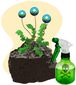 109_2014_b3-weber-epa-weed-c8201.jpg