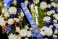 NAVYBDAY_008.JPG