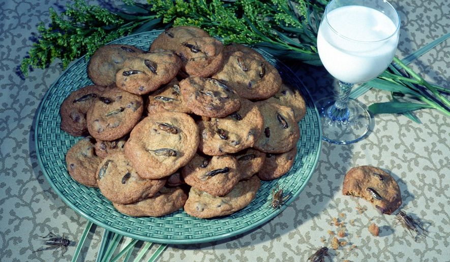 This photo provided by the Audubon Nature Institute shows chocolate chirp cookies, with crickets. (AP Photo/Audubon Nature Institute)