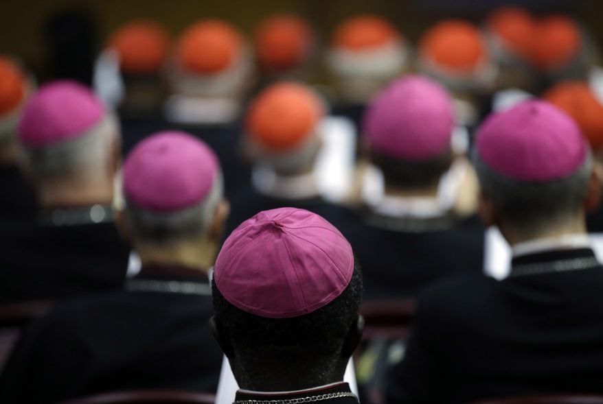Bishops and cardinals attended a two-week synod on family issues at the Vatican in October 2014. (AP Photo/Gregorio Borgia)