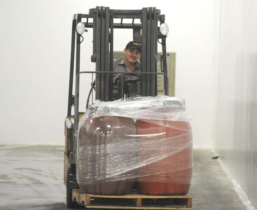 Gielow shipping and receiving supervisor Edgar Campgne brings containers of fermented sour kraut to the chill room Wednesday, Oct 8, 2014 at the company's facility at the Port of Skagit. (AP Photo/Skagit Valley Herald, Scott Terrell)