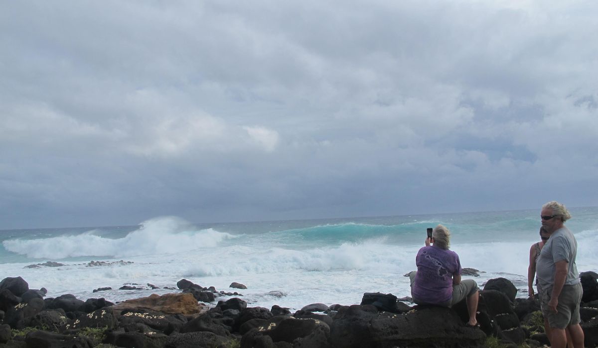 NextImg:Canadian man survives after driving a rented Jeep off a cliff in Hawaii