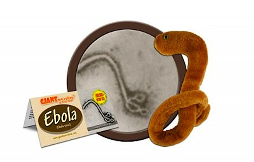 The fuzzy Ebola Plush Toy has sold out worldwide, according to its manufacturer. (Image from Giant Microbes)
