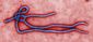 10212014_ebola-congo8201.jpg