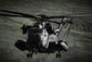Super Stallion.jpg