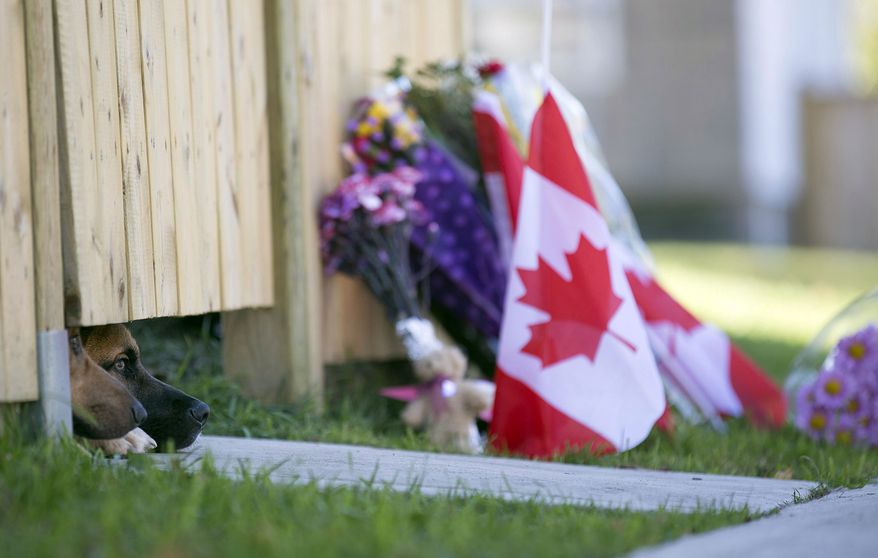 Dogs peek out from under a gate at the Cirillo family home in Hamilton, Ontario near flowers and flags that have been left on Thursday, Oct. 23, 2014. Canadians are mourning the loss of Cpl. Nathan Cirillo, the army reservist who was shot dead as he stood guard before the Tomb of the Unknown soldier. Flags were flown at half-staff to honor Cirillo, a 24-year-old a reservist from Hamilton, Ontario, whose shooting on Wednesday began an attack that ended with a lone gunman storming into Parliament and opening fire before being shot dead himself.  (AP Photo/The Canadian Press, Peter Power) 