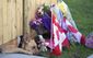 Canada Shooting.JPEG-08f53.jpg