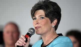 A campaign could create a profile of a typical visitor, for example, to GOP Iowa Senate candidate Joni Ernst&#39;s website — using age range, income, consumer data — and then target others who match that profile. (Associated Press)