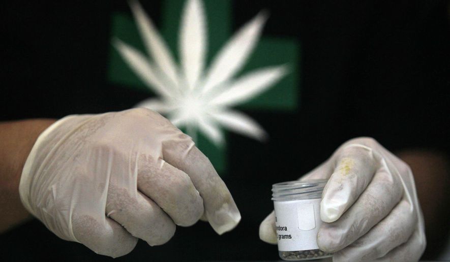 A member of the Daya Foundation, a nonprofit group that sponsors pain-relieving therapies, shows a container of imported cannabis seeds during a media presentation in La Florida, a municipality of Santiago, Chile, Wednesday, Oct. 29, 2014. The Chilean municipality planted the country’s first medical marijuana on Wednesday as part of a pilot program aimed to help ease the pain of cancer patients. The seeds were imported from the Netherlands, and oil extracted from some of the plants will be given to select patients. (AP Photo/Luis Hidalgo)