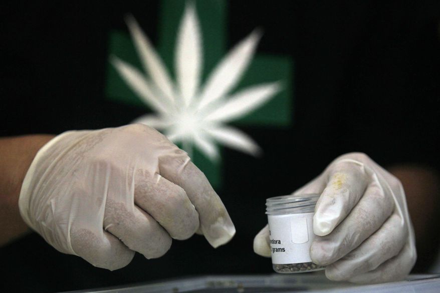 A member of the Daya Foundation, a nonprofit group that sponsors pain-relieving therapies, shows a container of imported cannabis seeds during a media presentation in La Florida, a municipality of Santiago, Chile, Wednesday, Oct. 29, 2014. The Chilean municipality planted the country’s first medical marijuana on Wednesday as part of a pilot program aimed to help ease the pain of cancer patients. The seeds were imported from the Netherlands, and oil extracted from some of the plants will be given to select patients. (AP Photo/Luis Hidalgo)