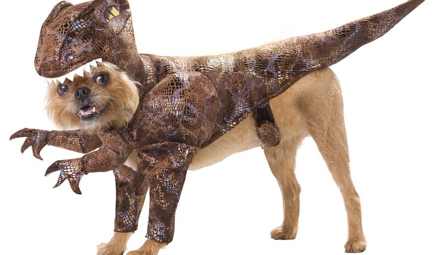 Doggy Dinosaur costume for Halloween (Image from Costume Express)