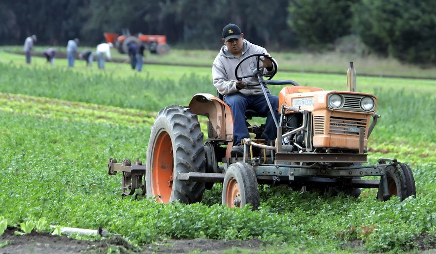 FILE - In this Nov. 1, 2005, file photo, workers tend an organic farm in Bolinas, Calif. With organic food growers reporting double-digit growth in U.S. sales each year, producers are challenging a proposed California pest-management program they say enshrines a pesticide-heavy approach for decades to come, including compulsory spraying of organic crops at the state’s discretion. (AP Photo/Eric Risberg, File)