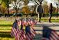 VETERANSDAY_003