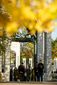 VETERANSDAY_007