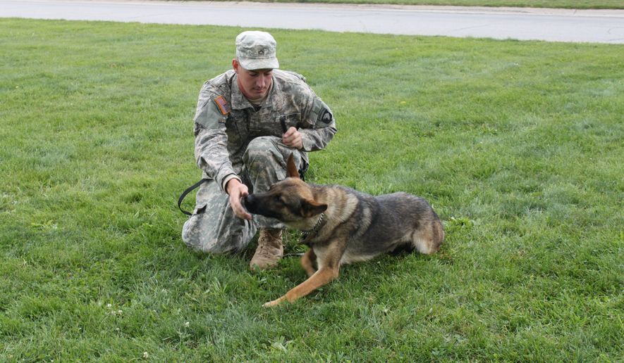 Mission Accomplished: Spc. Brent Grommet and war dog Matty are like brothers, according to a petition to rectify an Army adoption processing error, and &quot;the soldier needs his combat buddy for a healthy recovery.&quot;