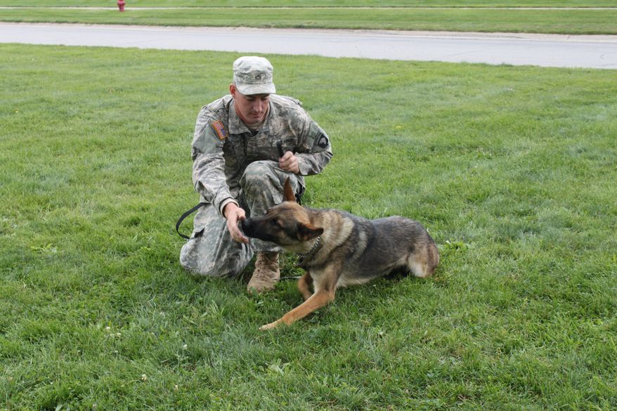 Mission Accomplished: Spc. Brent Grommet and war dog Matty are like brothers, according to a petition to rectify an Army adoption processing error, and &quot;the soldier needs his combat buddy for a healthy recovery.&quot;