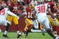 REDSKINS003.JPG