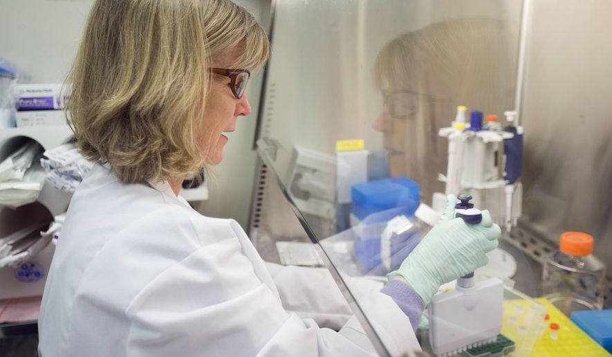 In this Thursday, Feb. 28, 2013 file photo, Merck scientist Janet Lineberger conducts research to discover new HIV drugs in West Point, Pa. (AP Photo/Matt Rourke) **FILE**