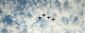 11302014_warthog8201.jpg