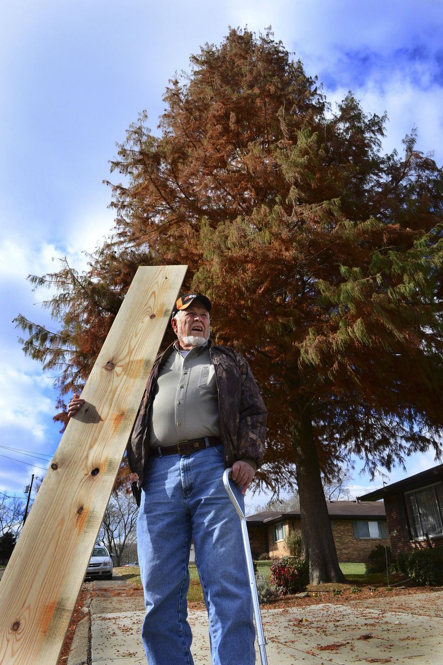 ADVANCE FOR MONDAY DEC. 1, AND THEREAFTER This Tuesday Nov. 18, 2014 image shows Steve Tyson holding a board from a bald cypress tree in his yard in Nitro, W.Va. (AP Photo/Charleston Gazette, Kenny Kemp)