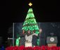 xmas tree.jpg