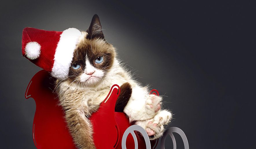 This undated photo provided by Lifetime shows Grumpy Cat, who stars in the Lifetime network&#39;s live-action film &amp;quot;Grumpy Cat&#39;s Worst Christmas Ever.&amp;quot; Before the movie aired on Nov. 29, Grumpy Cat, who owes her permanent frown to a medical condition, was featured in the books &amp;quot;The Grumpy Guide to Life&amp;quot; and &amp;quot;Grumpy Cat: A Grumpy Book.&amp;quot; (AP Photo/Lifetime)